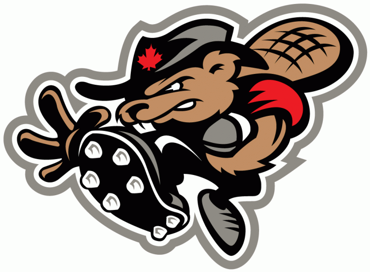 ottawa renegades 2002 alternate logo iron on transfers for T-shirts